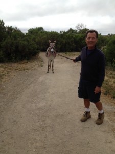 Donkey Walk